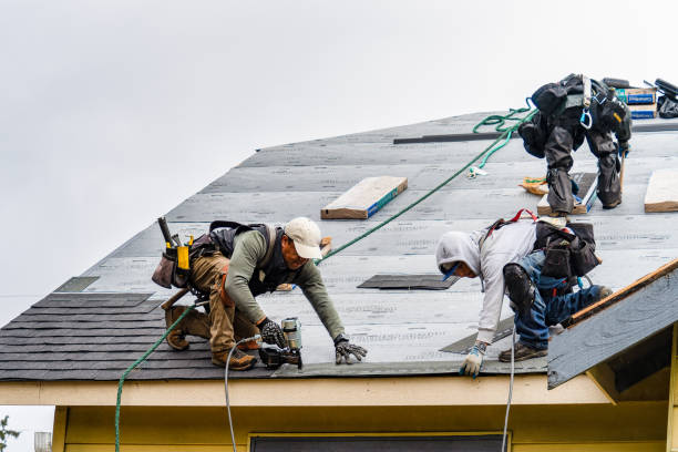 Professional Roofing technician working in Victor, CO